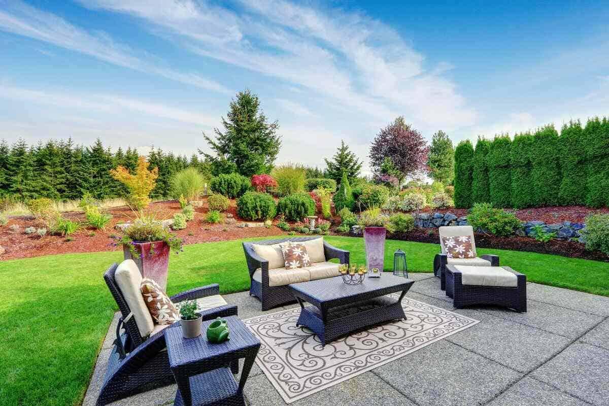 Beyond the Lawn: Creative Alternatives for Your Backyard